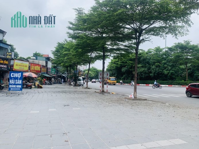 Bán Gấp 116m2 Đất Thổ Cư, Mặt Đường Bưởi, Quận Ba Đình. Vỉa Hè Rộng, Oto Dừng Đỗ, Kinh Doanh Đa