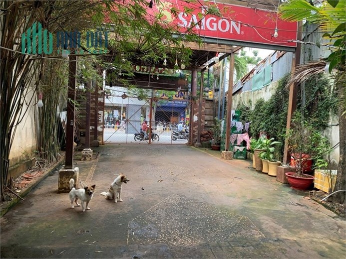 Mặt bằng mặt tiền Nguyễn Thị Thập, P.Tân Quy