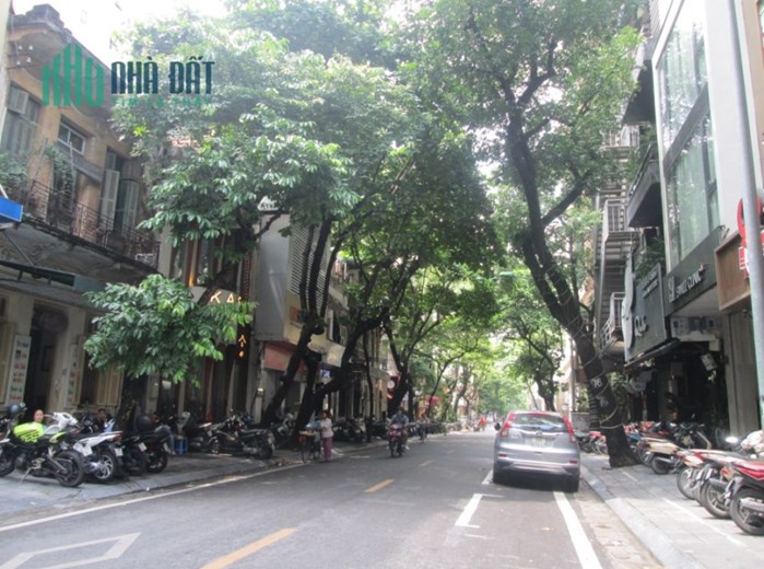 Lô Góc mặt phố cổ Triệu Việt Vương gần phố Trần Nhân Tông 46m2 chỉ 25.38 tỷ. LH 0989.62.6116