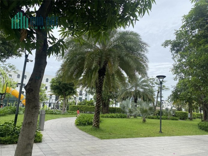 Chính chủ cần bán Sao Biển 01 view vườn hoa Vinhomes Ocean Park Gia Lâm giá 13.5 tỷ có thương lượng