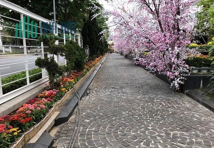 5 lý do vì sao không nên bỏ qua Shophouse 214 Nguyễn Xiển!