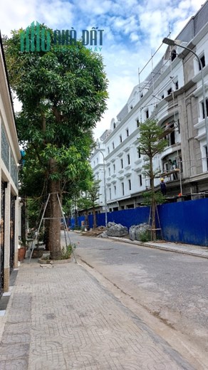 5 lý do vì sao không nên bỏ qua Shophouse 214 Nguyễn Xiển!