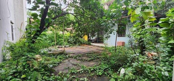BÁN GẤP!!! Siêu phẩm đất vàng Phương Canh, 193m2  Chỉ 11 Tỷ