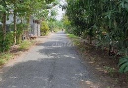 Cần bán đất thổ 25*25 thổ cư tại Đinh Công Bê, Xã Tịnh Thới, Thành phố Cao Lãnh, Đồng Tháp