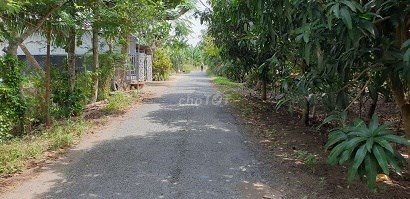 Cần bán đất thổ 25*25 thổ cư tại Đinh Công Bê, Xã Tịnh Thới, Thành phố Cao Lãnh, Đồng Tháp