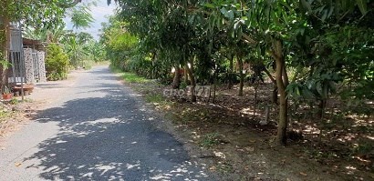 Cần bán đất thổ 25*25 thổ cư tại Đinh Công Bê, Xã Tịnh Thới, Thành phố Cao Lãnh, Đồng Tháp