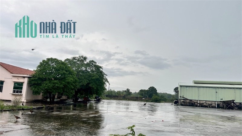 cho thuê nhà xưởng, dt hơn 30,000m2. có 4000m SKC, trạm cân 100T, Bãi đã đổ bê tông toàn bộ