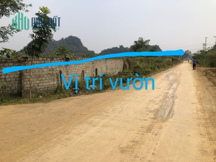 Bán Đất Tại Lương Sơn Hoà Bình, Đường Ô Tô Tải Tránh, Trồng Cam, Có Nhà Cấp 4, Dt 8000m. Giá 1.4 Tỷ.