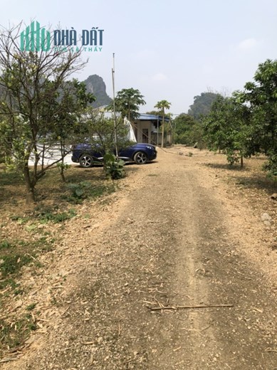 Bán Đất Tại Lương Sơn Hoà Bình, Đường Ô Tô Tải Tránh, Trồng Cam, Có Nhà Cấp 4, Dt 8000m. Giá 1.4 Tỷ.
