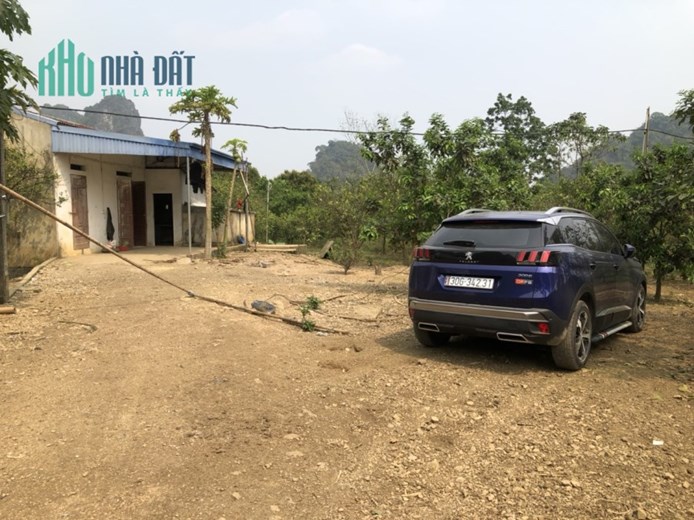 Bán Đất Tại Lương Sơn Hoà Bình, Đường Ô Tô Tải Tránh, Trồng Cam, Có Nhà Cấp 4, Dt 8000m. Giá 1.4 Tỷ.