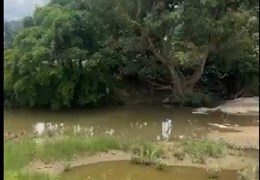 Bán nhanh đất Ninh Sơn Ninh Thuận 4ha- Nghỉ dưỡng Kinh doanh Chân đèo Ngoạn Mục Giá nhỉnh 100k