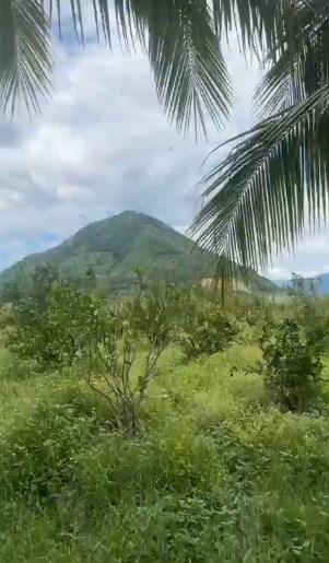 Bán nhanh đất Ninh Sơn Ninh Thuận 4ha- Nghỉ dưỡng Kinh doanh Chân đèo Ngoạn Mục Giá nhỉnh 100k