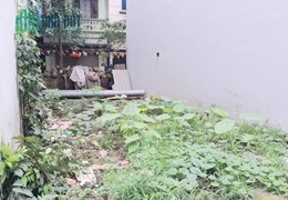 Chính Chủ Cần Bán Lô Đất Tâm Huyết Vị Trí Đẹp Giá Rẻ.