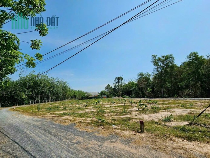Đất cạnh KCN Thạnh Đức đầu tư chỉ 300 triệu sổ sẵn, full thổ