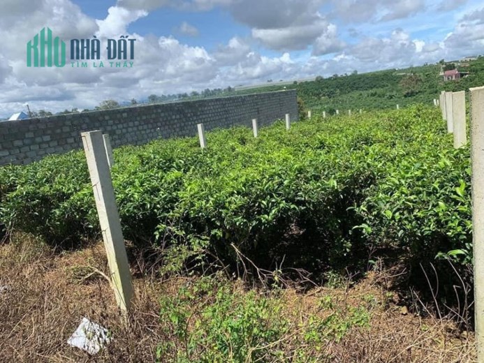 CHÍNH CHỦ CẦN BÁN NHANH  2  Lô Đất Đẹp Vị Trí Đắc Địa Tại Lộc Thắng Bảo Lâm, Lâm Đồng