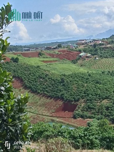 ĐẤT ĐẸP - GIÁ TỐT - Cần Bán Lô Đất Tại Thôn 4, Xã Tân Lâm, Huyện Di Linh, Lâm Đồng