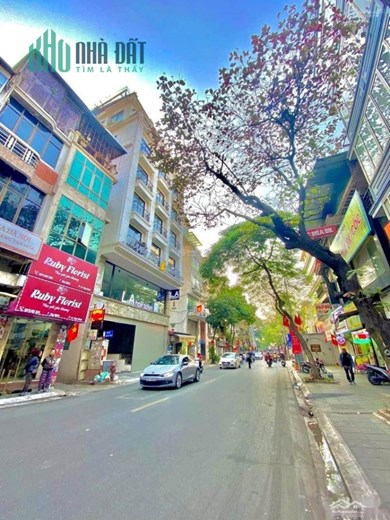 SIÊU PHẨM MẶT PHỐ THỤY KHUÊ 115M2, 8T, THANG MÁY KINH DOANH ĐỈNH, 2 MẶT PHỐ, 36,8 TỶ.