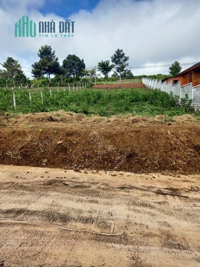 Bán 748m2 đất (có 200m2 thổ cư) tại TP Bảo Lộc SHR chính chủ bán 5.5 tỷ. Lh:0937118824