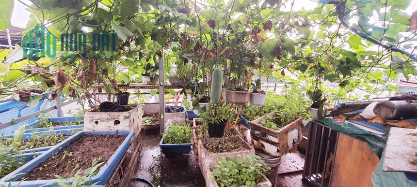 Bán nhà cực hiếm ngõ rộng Tân Mai Hoàng Mai 30m 6 tầng 2.8 tỷ