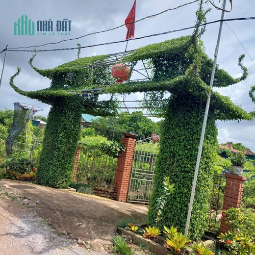 Chính chủ cần bán 2 lô đất tại Thôn Toàn Thắng - Xã Bách Thuận - Huyện Vũ Thư - Tỉnh Thái Bình .