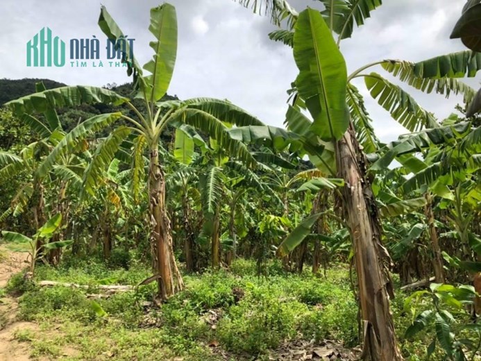Sở Hữu Ngay Lô Đất Đẹp Vị Trí Đắc Địa Tại xã Diên Điền huyện Diên khánh ,Khánh Hòa