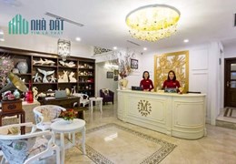 VÍP và HIẾM ! K.S  mặt phố cổ view hồ hoàn kiếm 116m 7t nhỉnh 95 tỷ.