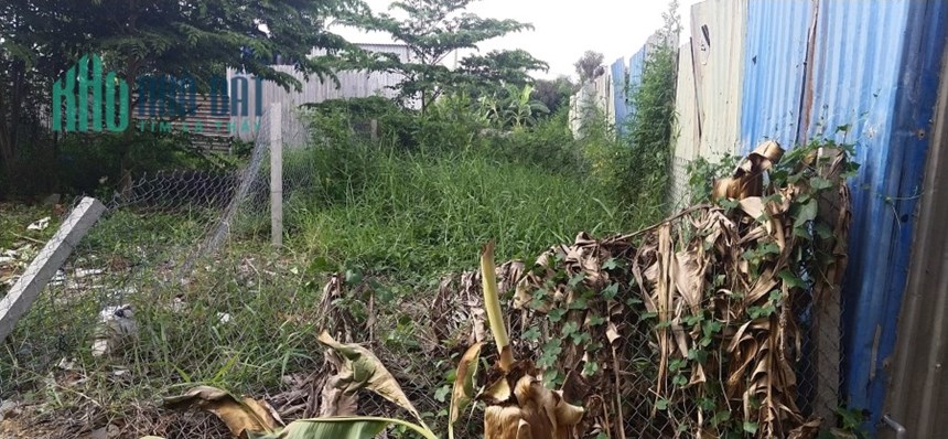 Bán đất ngộp chính chủ Hồ Văn Long phường  Tân Tạo Bình Tân giá 850 triệu