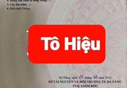 🔴💥ĐẤT KIỆT ĐƯỜNG TÔ HIỆU - CÁCH ĐƯỜNG CHÍNH 30M