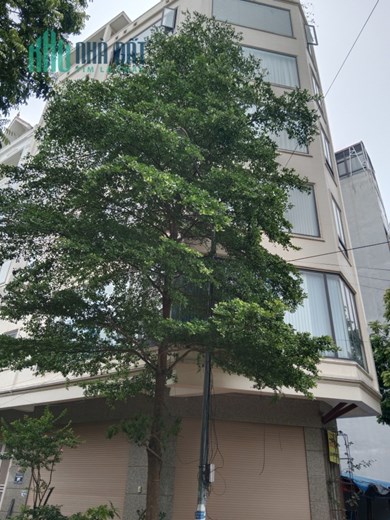 Rẻ nhất thị trường bán nhà Lô góc  Dương Nội, Cạnh Aoen mall Hà Đông
	Lô góc - Phân lô, ô tô 50m x