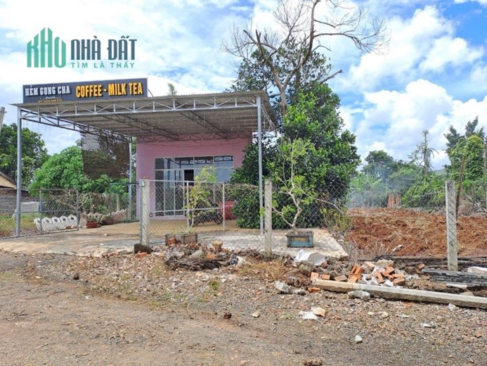 Chính Chủ Cần Bán Đất Trồng Cây Lâu Năm