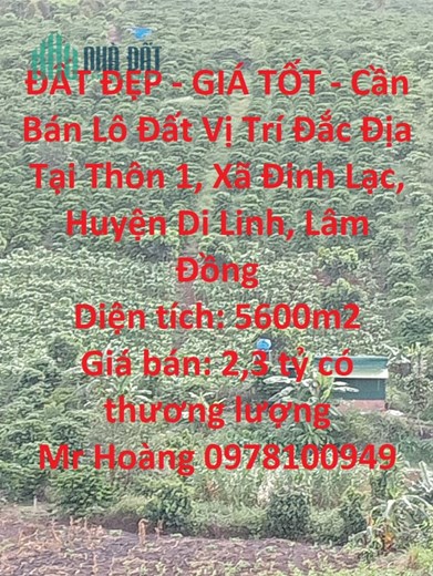 ĐẤT ĐẸP - GIÁ TỐT - Cần Bán Lô Đất Vị Trí Đắc Địa Tại Thôn 1, Xã Đinh Lạc, Huyện Di Linh, Lâm Đồng