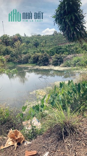 ĐẤT ĐẸP - GIÁ TỐT - Cần Bán Lô Đất Vị Trí Đắc Địa Tại Thôn 1, Xã Đinh Lạc, Huyện Di Linh, Lâm Đồng