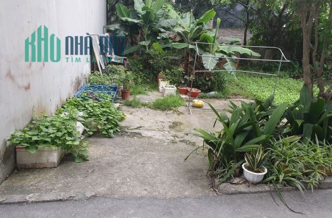 Cần bán mảnh đất ở Yên Vĩnh, diện tích 55 m2 - Lô góc - Đường rộng - ô tô tránh thoải mái vào nhà -