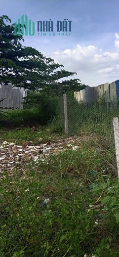 Bán đất ngộp Hồ Văn Long phường  Tân Tạo Bình Tân giá 950 triệu