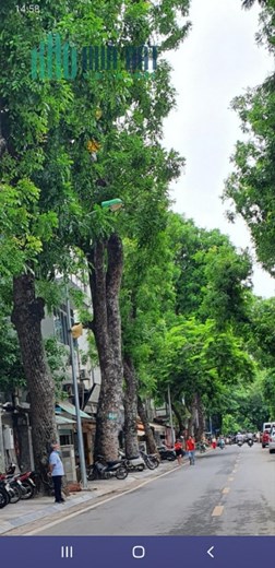 Bán thửa đất mặt phố Nguyễn Bỉnh Khiêm, HBT 262m, MT8m, KD đỉnh cao, giá 110 tỷ. LH 0366051369