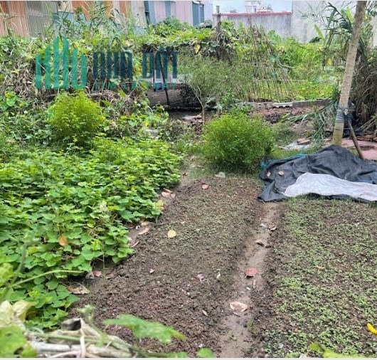 Bán mảnh đất tại Yên Bệ, diện tích 55 m2 đường thoáng di chuyển thuận tiện - Giá chào chỉ 2 tỷ - PB
