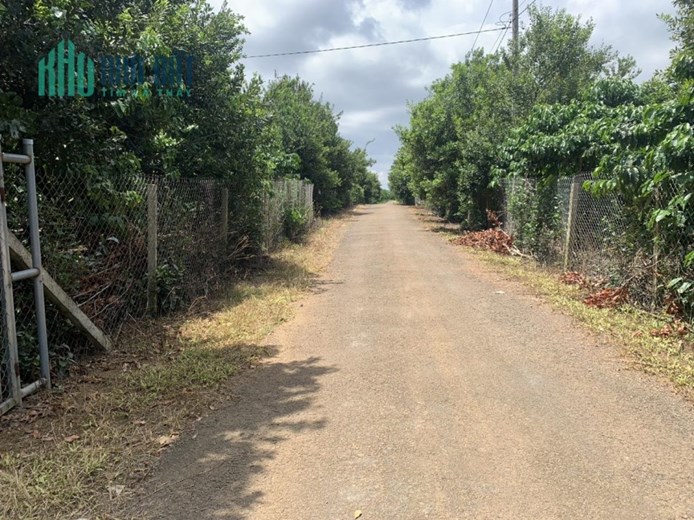 ĐẤT ĐẸP - GIÁ TỐT - Cần Bán Lô Đất Tại Thôn 6, Lộc Phú, Huyện Bảo Lâm, Lâm Đông