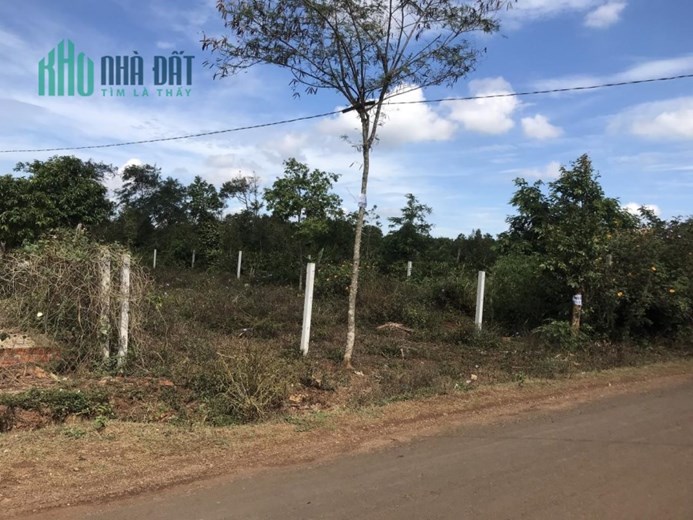 CHÍNH CHỦ Cần Bán Lô Đất  Mặt Tiền Vị Trí ĐẮC ĐỊA Tại Xã Hòa Đông, huyện Krông Pắk, tỉnh Đắk Lắk