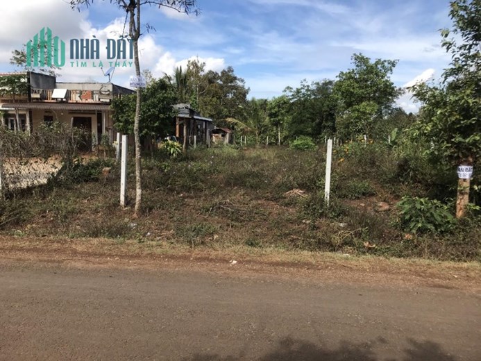 CHÍNH CHỦ Cần Bán Lô Đất  Mặt Tiền Vị Trí ĐẮC ĐỊA Tại Xã Hòa Đông, huyện Krông Pắk, tỉnh Đắk Lắk