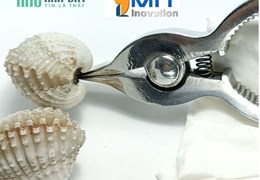 Kềm Tách Sò Huyết inox nguyên khối