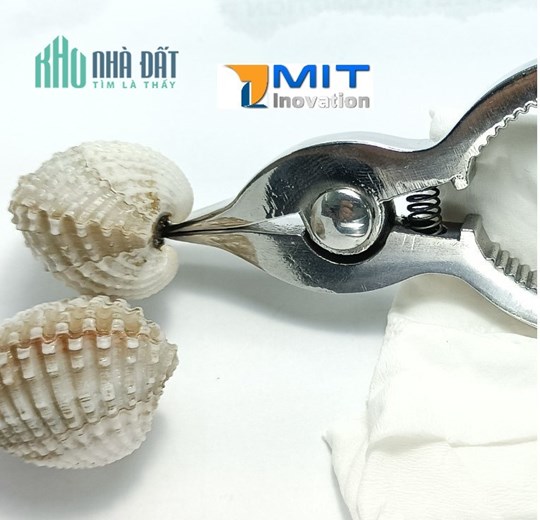 Kềm Tách Sò Huyết inox nguyên khối