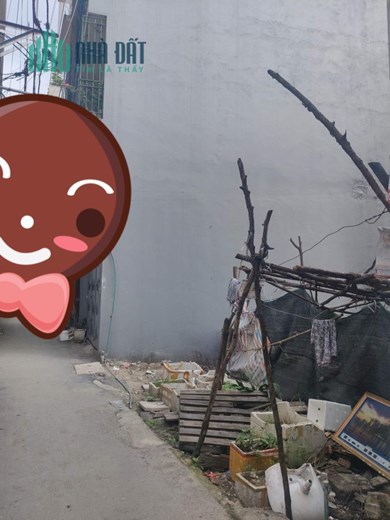 Chỉ nhỉnh 3 tỷ, có luôn lô đất Lê Trọng Tấn, ô tô vào