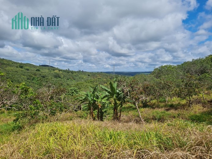 Chủ không canh tác chuyển nhượng lại 12269m2 vườn cách QL14 vào 500m.