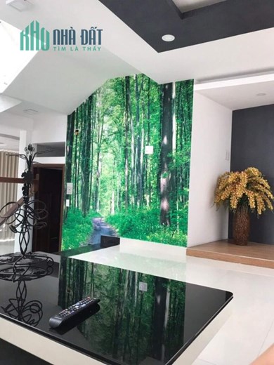 BÁN NHÀ BIỆT THỰ PHỐ LÃNH BINH THĂNG QUẬN 11, NGANG 5.6m, DTSD 301 M2, NHĨNH 11 TỶ.