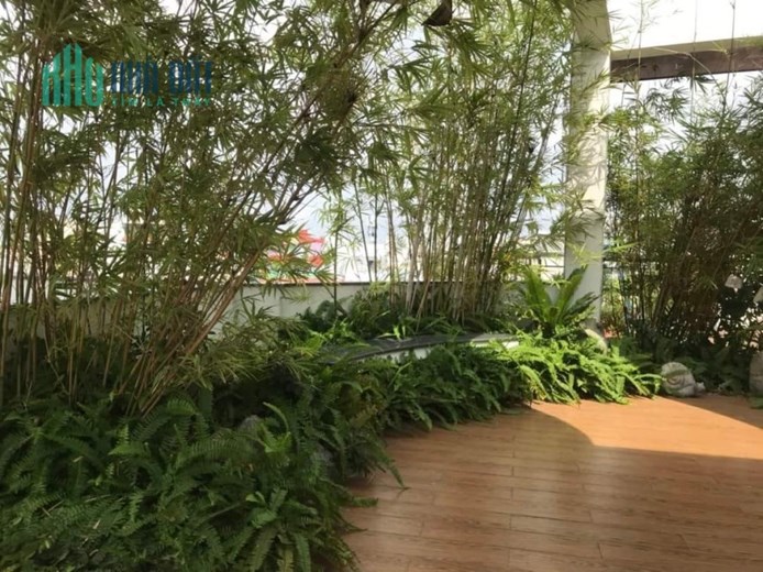BÁN NHÀ BIỆT THỰ PHỐ LÃNH BINH THĂNG QUẬN 11, NGANG 5.6m, DTSD 301 M2, NHĨNH 11 TỶ.