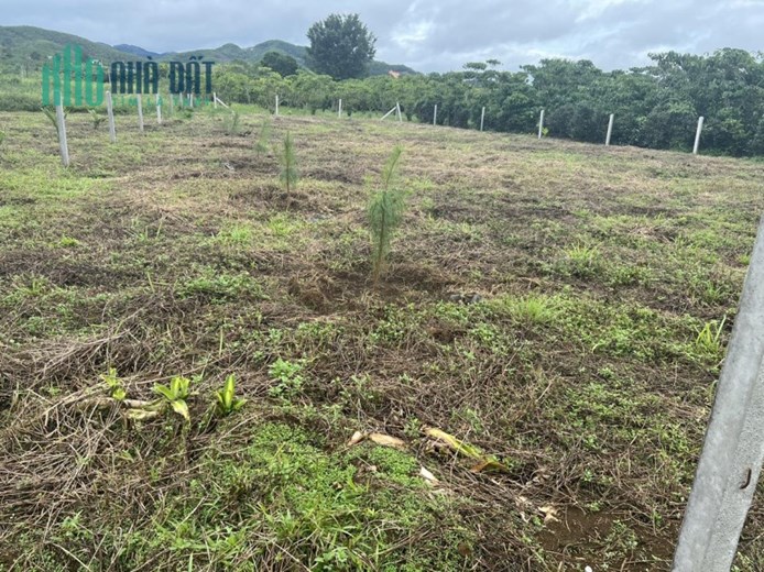 ĐẤT ĐẸP - GIÁ TỐT - Cần Bán Lô Đất Vị Trí Đắc Địa TP Bảo Lộc, Lâm Đồng