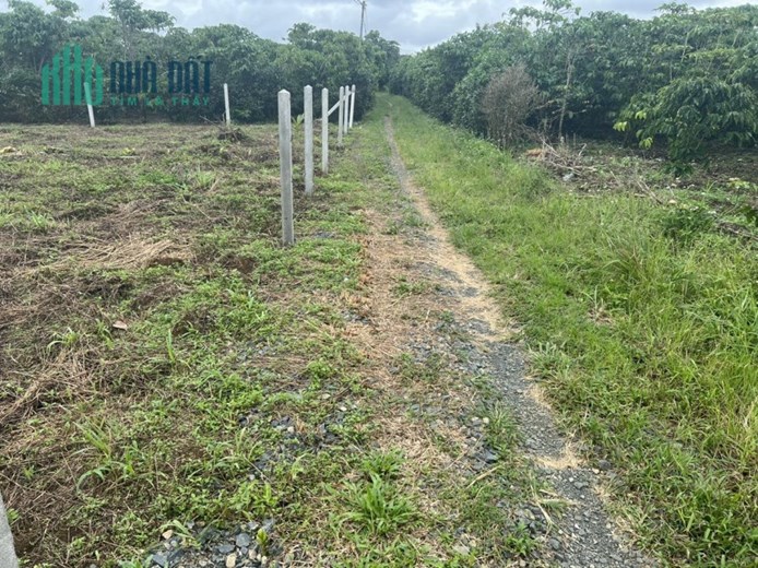 ĐẤT ĐẸP - GIÁ TỐT - Cần Bán Lô Đất Vị Trí Đắc Địa TP Bảo Lộc, Lâm Đồng