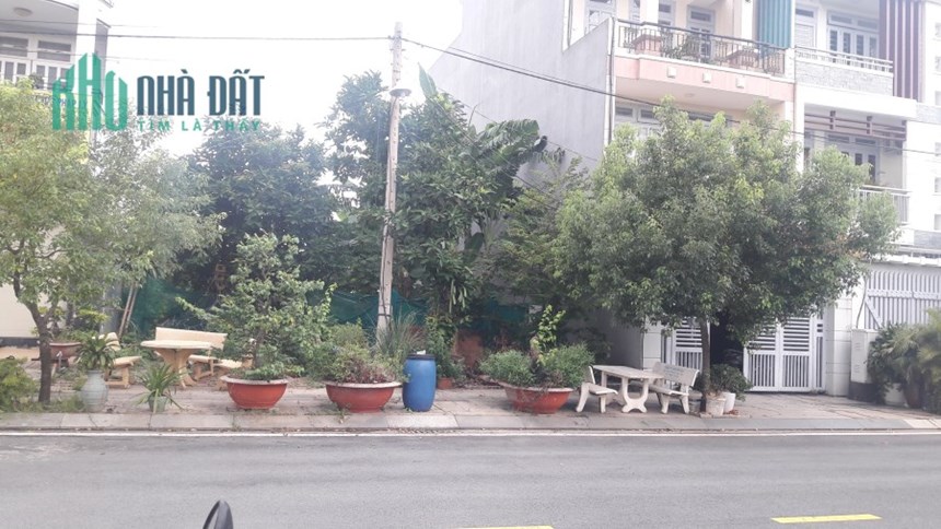 Bán đất Nam Rạch chiếc đường Đỗ Xuân Hợp Quận 2 MT trục chính giá Chỉ