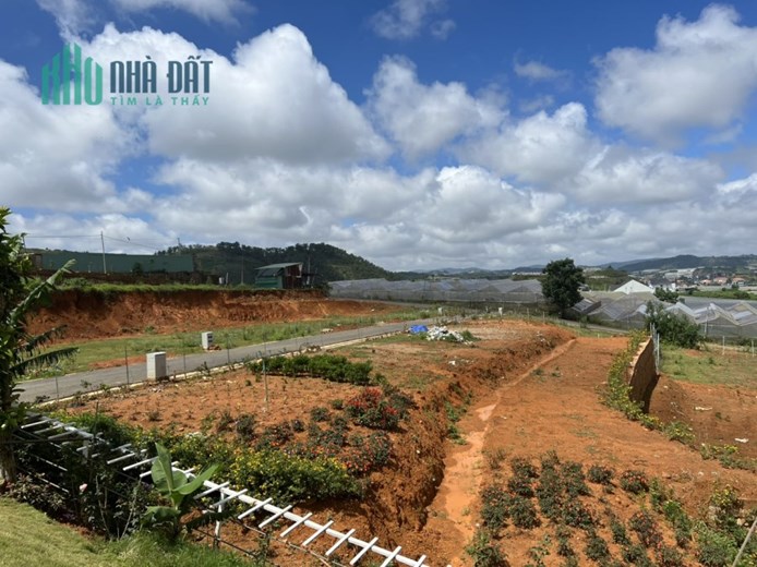 BÁN ĐẤT NỀN THỊ TRẤN LẠC DƯƠNG - HUYỆN LẠC DƯƠNG - LÂM ĐỒN