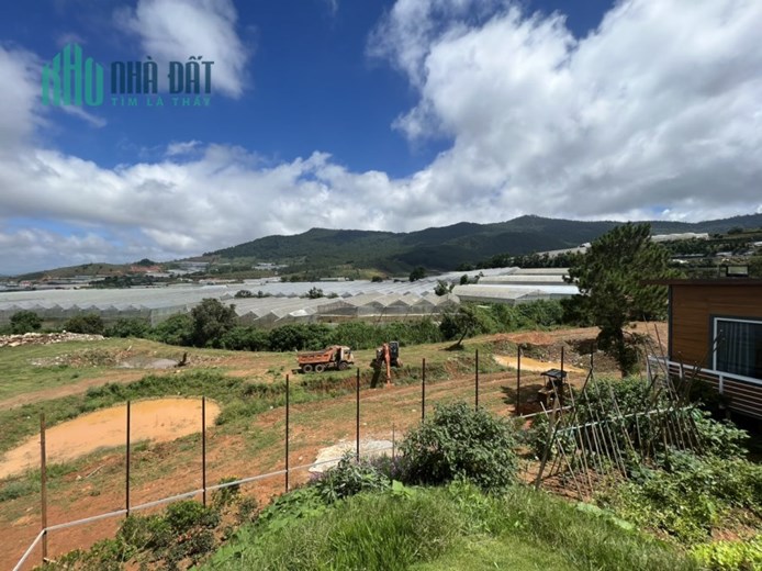 BÁN ĐẤT NỀN THỊ TRẤN LẠC DƯƠNG - HUYỆN LẠC DƯƠNG - LÂM ĐỒN